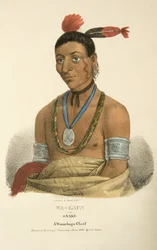 Wa-kaun ou le Serpent